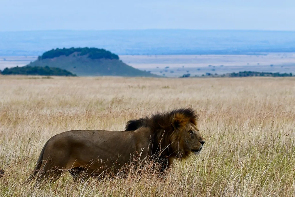 Best Safaris in Kenya