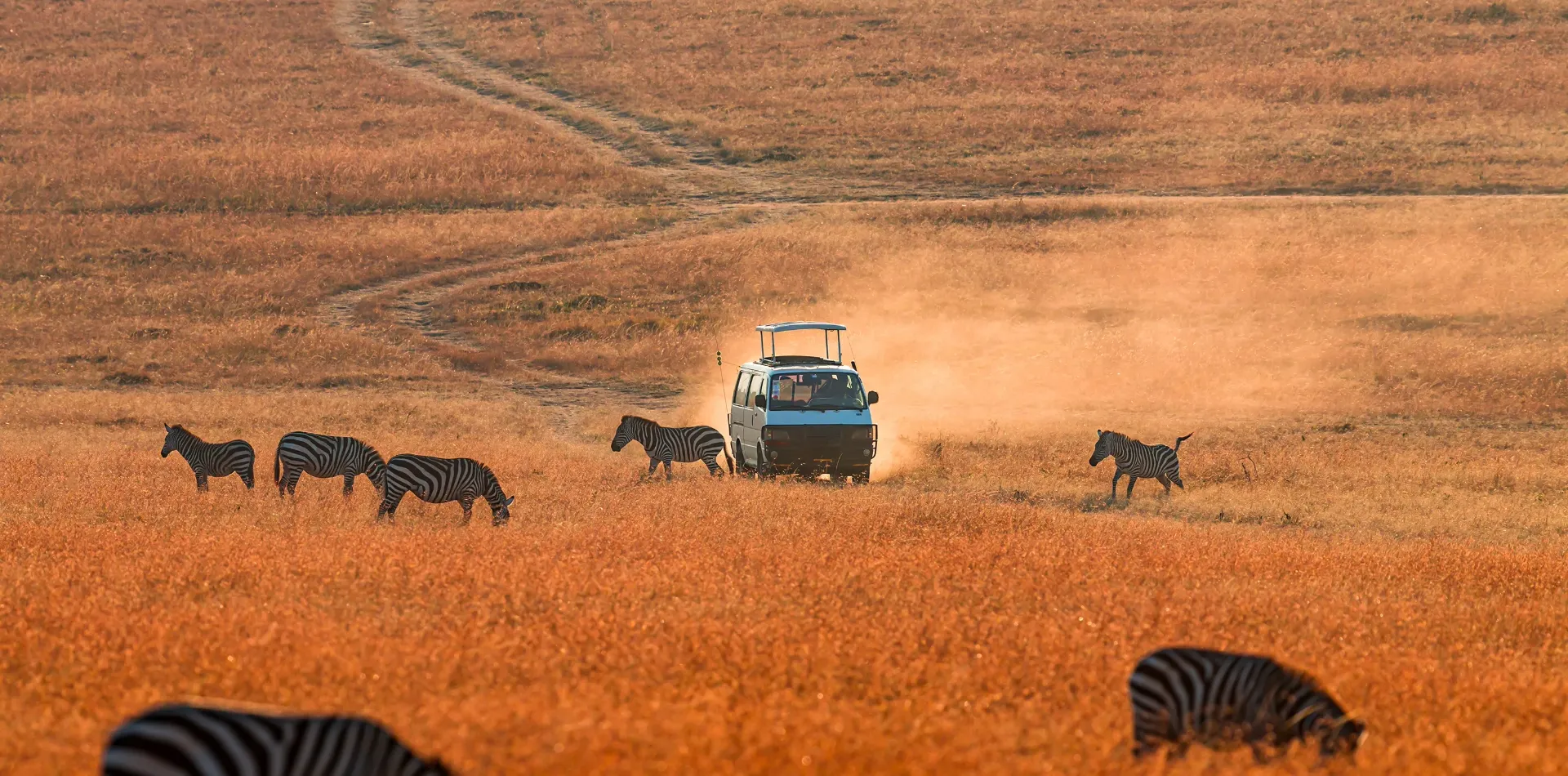 Best Time to Visit Kenya