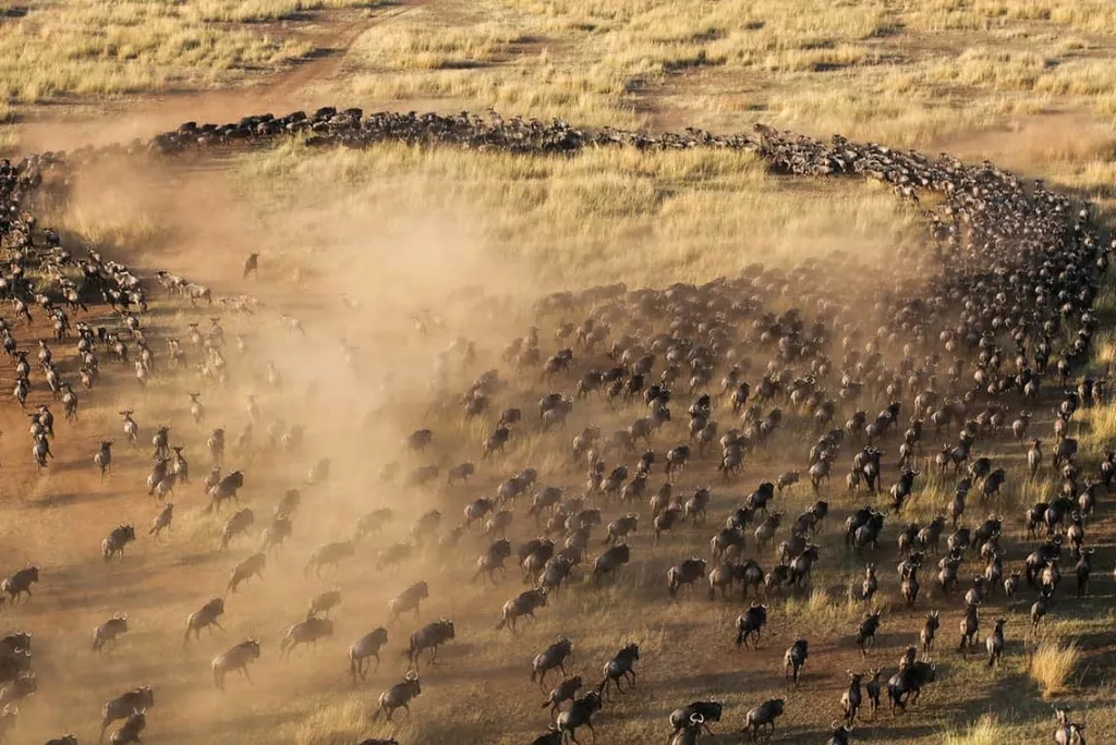 When to Visit Masai Mara