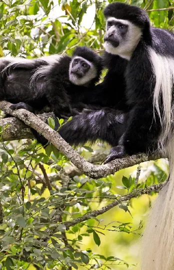 arusha-national-park-1