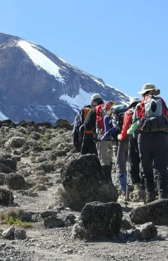 kilimanjaro-national-park-1