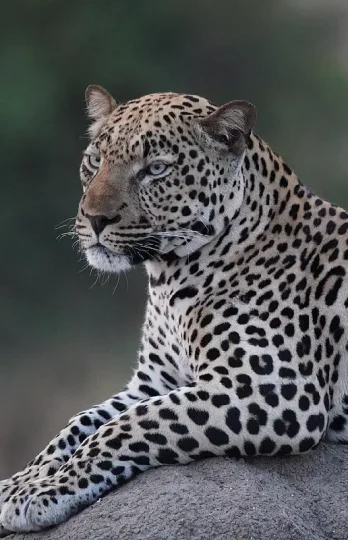 queen-elizabeth-national-park-1